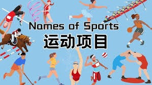 也能把球