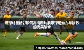 建体育